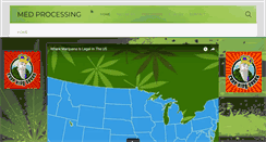 Desktop Screenshot of medprocessing.com